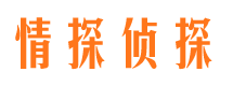 柳州市婚外情调查